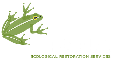 LITORIA | Ecological Restoration Services in Newcastle NSW